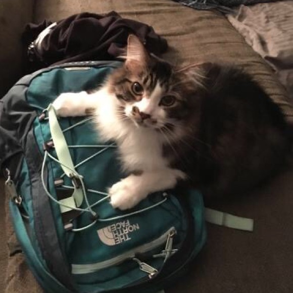 Meet your Posher, Anna - Picture 5 of 12